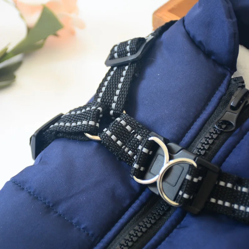 Dogs Jacket with Harness