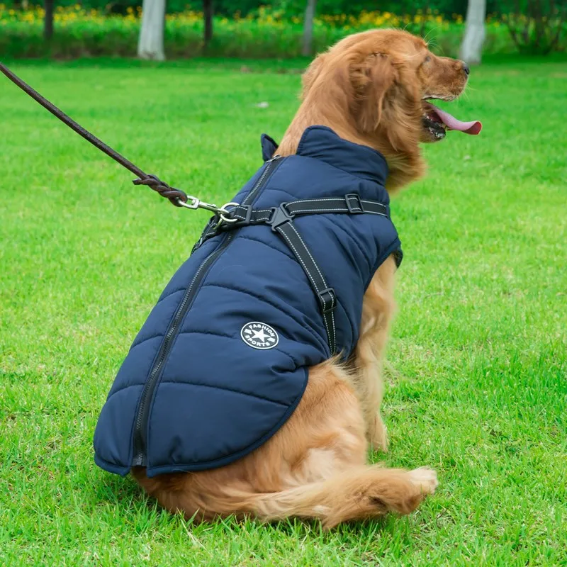 Dogs Jacket with Harness