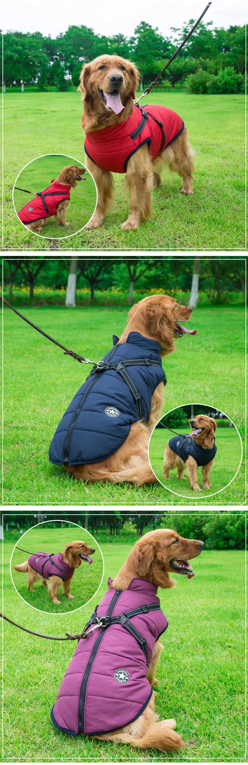 Dogs Jacket with Harness