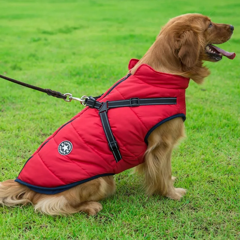 Dogs Jacket with Harness