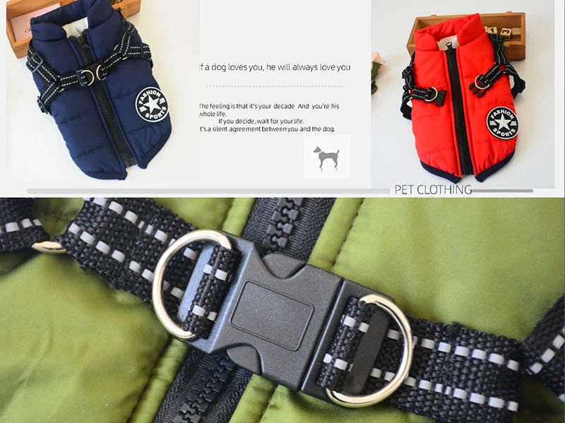 Dogs Jacket with Harness